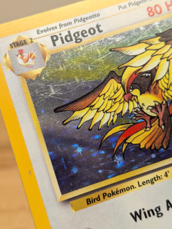 1999 Pidgeot Holo Rare Jungle Set 8/64 Bird Wotc Vtg LP - Image 3