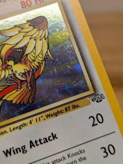 1999 Pidgeot Holo Rare Jungle Set 8/64 Bird Wotc Vtg LP - Image 4