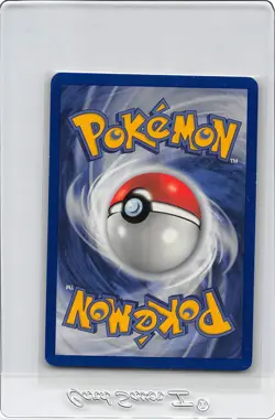 Chikorita 53/111 - Neo Genesis - VINTAGE WOTC Pokemon Card - UNLIMITED - nm - Image 2