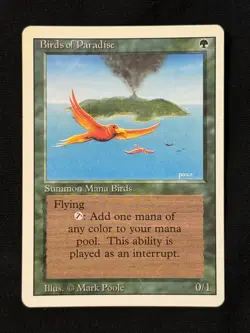MTG - Birds of Paradise - 3rd Edition Revised - 1x - MP (Magic: The Gathering) - Image 1