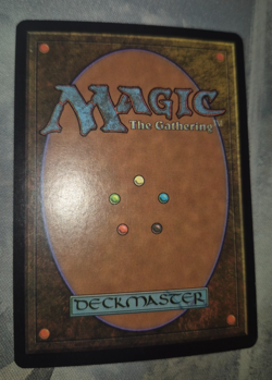 Swamp MTG Merquadian Masques FOIL RETRO Foreign NM/LP #341 - Image 2