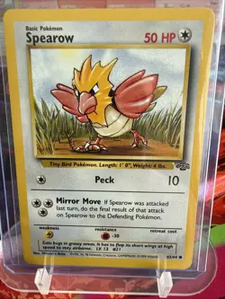 Pokemon TCG Jungle Spearow Card 62/64 Regular Common Vintage - Image 1