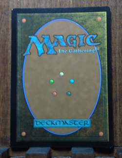 MTG Blue, Loyal Raptor (FOIL Borderless) Universes Beyond: Jurassic World Col.. - Image 3