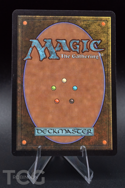 Plains - Magic the Gathering - Guru Lands Regular - Image 2