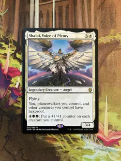 Shalai, Voice of Plenty - 35 / English / Near Mint MTG - Image 1