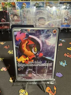 🔥 CHARCADET 022 Black Star Promo 🔥 Phantasmal Flames Pokemon TCG SEALED - Image 1