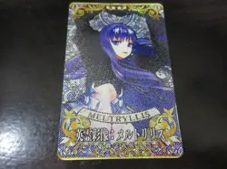 FGO Fate Grand Order Arcade Card Hero Color Meltlilith Meltryllis Alterego - Image 1