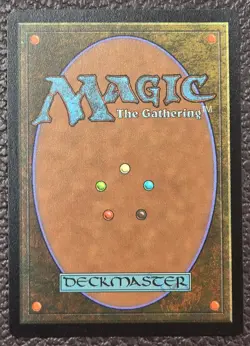 1x Choco, Seeker of Paradise MTG NM Final Fantasy (FIN) Chocobo Track Foil #569 - Image 2