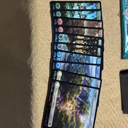 Chocobo Track Foil Full Art BASIC LAND NM Final Fantasy MTG Magic Lot of 10 - Image 1