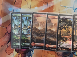 Lot of 10x Track Foil Lands - Final Fantasy - Magic the Gathering - Chocobo NM - Image 2