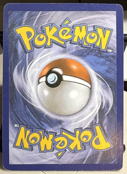 Lot of 2 Pokemon Cards. 2016 M Gyarados EX & 2015 M Ampharos EX. CHECK IT OUT!!! - Image 3