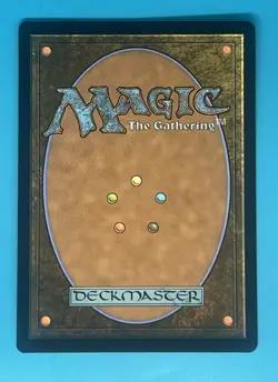 Exemplar of Light Foundations Regular - Image 2