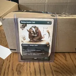 MTG Avatar: The Last Airbender BADGERMOLE CUB Borderless NM - Image 1