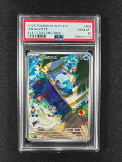 2025 Pokemon SV White Flare Oshawott Illustration Rare #105/086 PSA 10 - Image 1