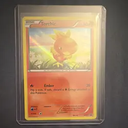 Pokemon Torchic XY37 Holo Promo Basic 60 HP 2014 XY Set Card - Image 1