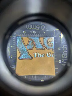 Mossborn Hydra NM Non-Foil R0107 FDN Magic The Gathering - Image 4