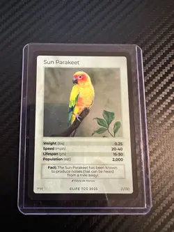 Sun Parakeet HOLO 2000 Pop | Life TCG Bird Card | 21/130 rare - Image 1