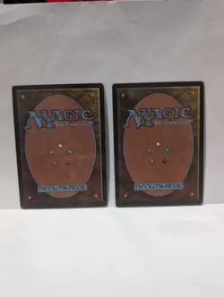 Kjeldoran Outpost Alliances Regular x2 - Image 2