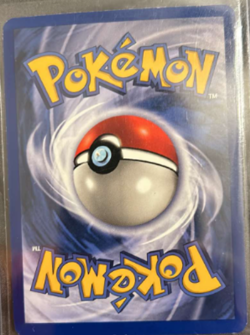 Pokemon Pidgeot 1st Edition Holo Rare 8/64 Jungle 1999 LP (Light Play) - Image 2