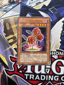 (YBL) Revival Rose 1st Ed TSHD-EN016 Yu-Gi-Oh The Shining Darkness LP - Image 1