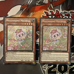 Yu-Gi-Oh! Mulcharmy Meowls SUDA-EN025 Secret Rare 1st Edition - Image 3