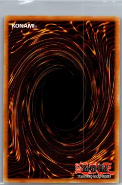 Painful Choice SRL-EN049 Spell Ruler (Worldwide English) - Yu Gi Oh Card - NM - Image 2