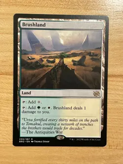 MTG NM Brushland [Dominaria United] - Image 1