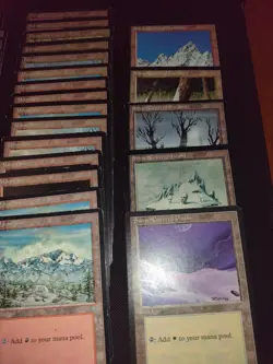 MTG ICE AGE LANDS X55, SNOW COVERED LAND WITH STARTER DECK & RULE BOOK - Image 3