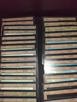 MTG ICE AGE LANDS X55, SNOW COVERED LAND WITH STARTER DECK & RULE BOOK - Image 4