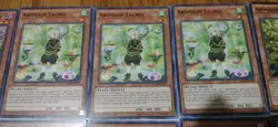 Yu-Gi-Oh Cards Aroma Aromage Jasmine Deck Core Rosemary Rosalina Aromaseraphy + - Image 3