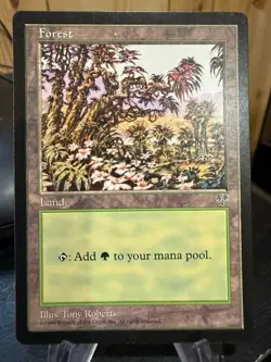 MTG Magic the Gathering Mirage Forest - Image 1