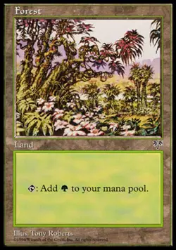 Forest (295) - Mirage #295 MTG Magic The Gathering - Image 1