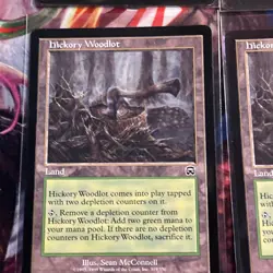 4x HICKORY WOODLOT MERCADIAN MASQUES MTG MAGIC THE GATHERING - Image 5
