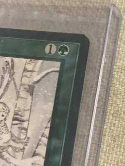 Whiteout | MtG Magic Ice Age | Signed By Artist Nene Thomas Certificate Of Auth - Image 3