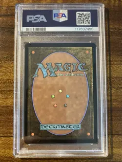 MTG✨YOUNG WOLF Full Art BLACK & WHITE 🌈 FOIL✨SLD Twisted Toons PSA 10 POP 1 ! - Image 2