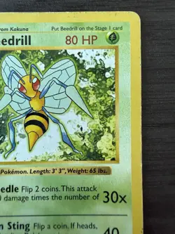Beedrill 017/102 Base Set Shadowless - Pokemon TCG - Image 3