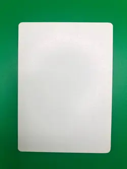 MTG 4th BB - Llanowar Elves (Chinese) - Signed by Anson Maddocks *Artist Proof* - Image 3