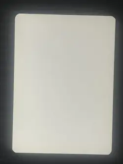 Magic MTG Italian Revised Green Ward Artist Proof Near Mint - Only 50 Exist! - Image 2