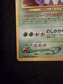 Pokemon TCG Japanese Meganium Typhlosion and Feraligatr. Gold and Silver Holo - Image 3