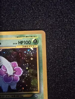Pokemon TCG Japanese Meganium Typhlosion and Feraligatr. Gold and Silver Holo - Image 5