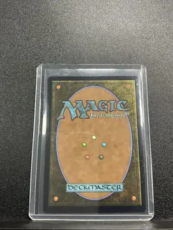 MTG Avatar: The Last Airbender Appa, Aaing's Companion #0214 Foil - Image 2