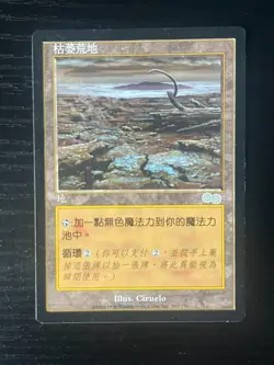 MTG MAGIC Foreign Black Border Chinese Blasted Landscape NM Free Returns! - Image 1