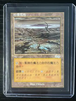 MTG MAGIC Foreign Black Border Chinese Blasted Landscape NM Free Returns! - Image 3