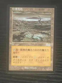 MTG MAGIC Foreign Black Border Chinese Blasted Landscape NM Free Returns! - Image 1