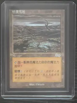 MTG MAGIC Foreign Black Border Chinese Blasted Landscape NM Free Returns! - Image 3