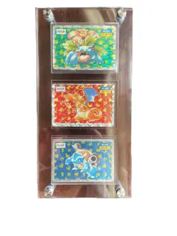 1995 Topsun Pokemon - Venusaur, Charizard, & Blastoise - Image 1