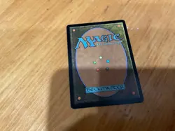 IONA SHIELD OF EMERIA MN to good condition - Image 2