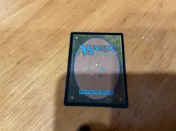 CASTLE GARENBRIG MN to good condition - Image 2