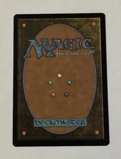 MTG Concealed Courtyard - Outlaws of Thunder Junction NM - Image 2