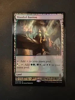Wooded Bastion Zendikar Expeditions Foil - Image 1